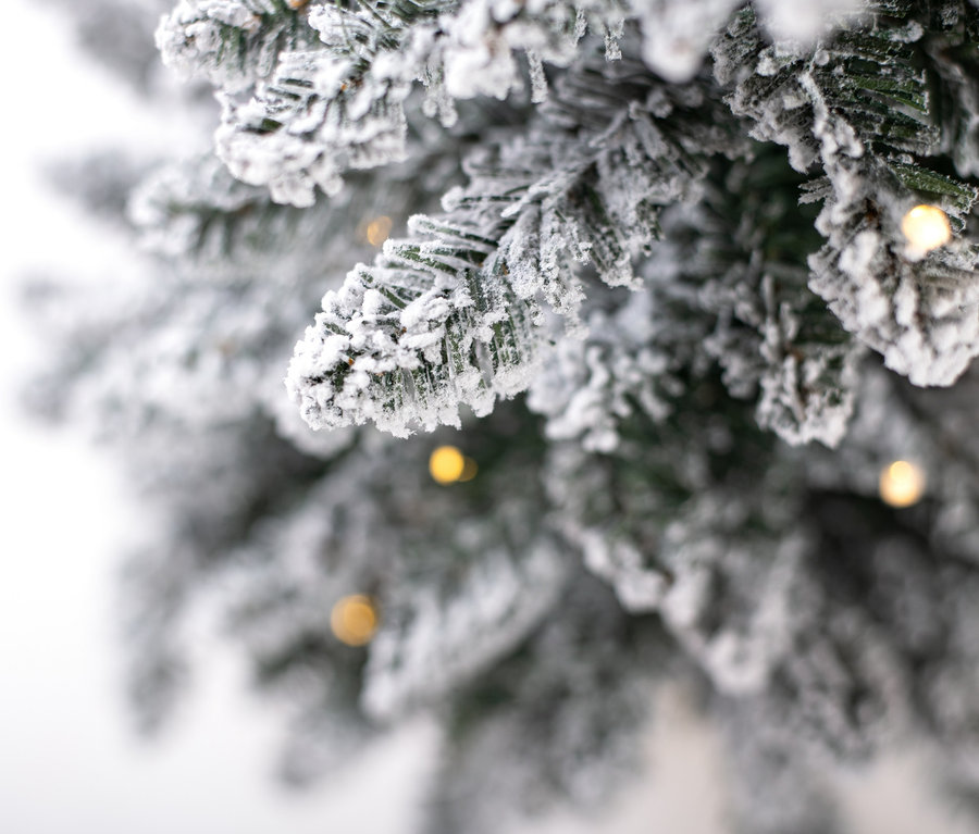 Nahaufnahme eines schneebedeckten Evergreen LED-Weihnachtsbaums mit Jutetopf.