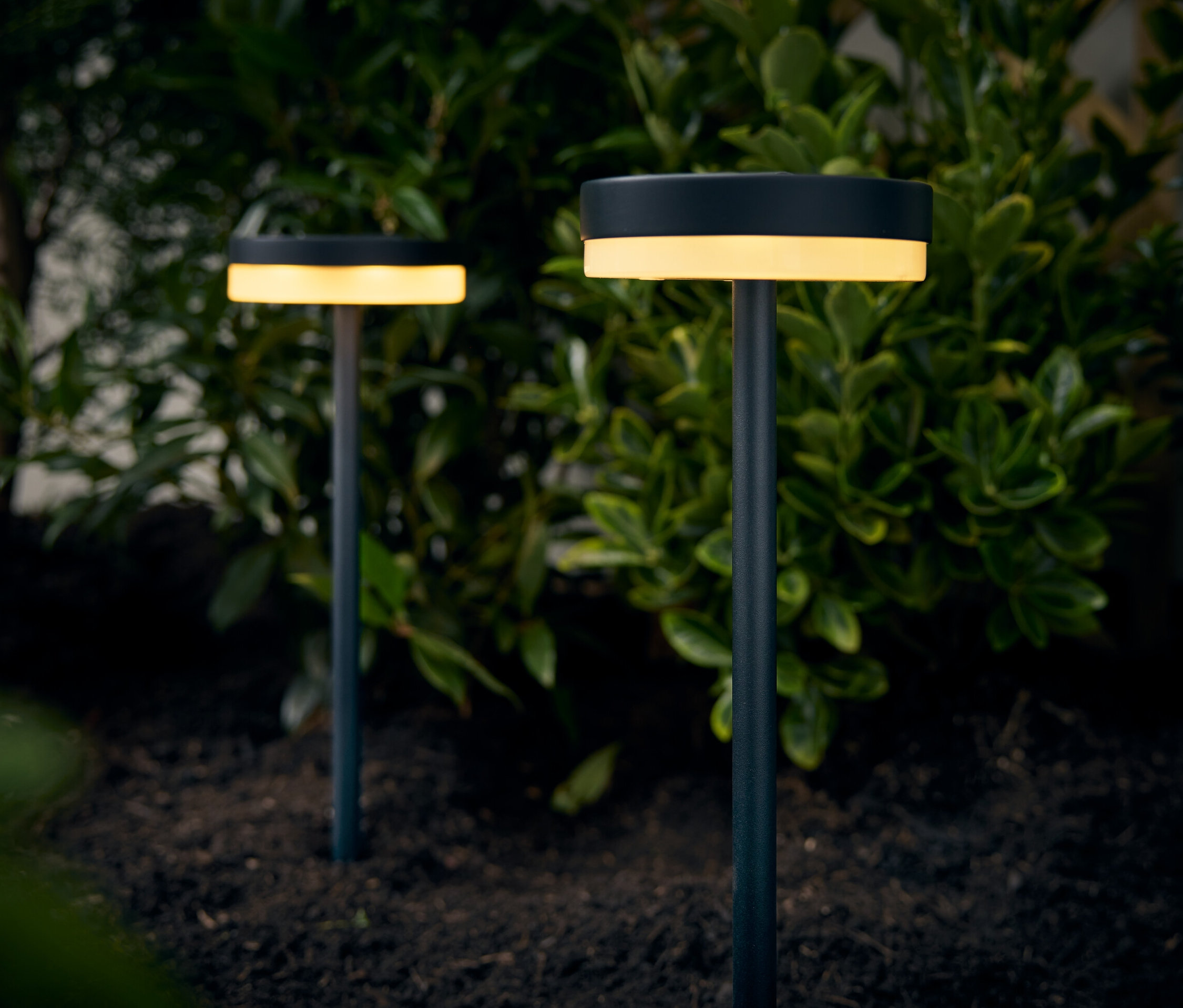 Zwei Solar-Steckleuchten stehen im Boden vor Büschen.