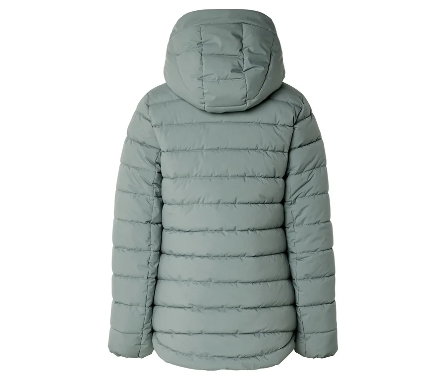 Rückansicht einer hellgrünen, gesteppten Daunenjacke mit Kapuze vor einem weißen Hintergrund.