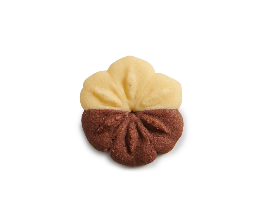 Ein blütenförmiger Keks, halb braun, halb beige, auf weißem Grund. Kekspresse.