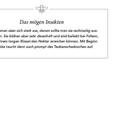 Detailansicht einer Seite aus einem Gartenbuch, die verschiedene Pflanzen und Blumen beschreibt. Abgebildet ist das Buch »Mein summendes Paradies«.