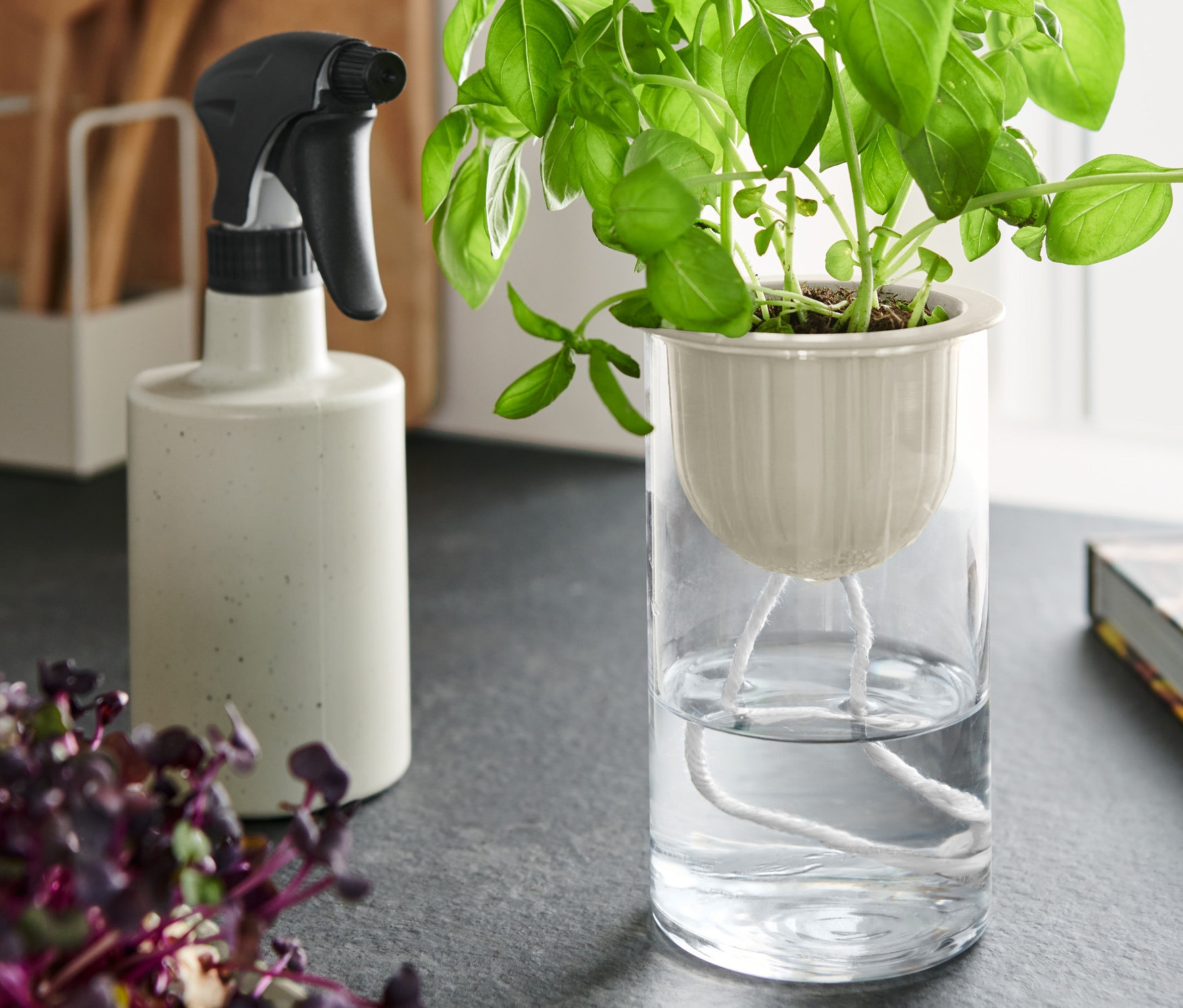 Ein Hydroponic-Kit mit Basilikum, ein Microgreens-Anzuchtset und ein Pflanzensprüher auf einem Tisch.