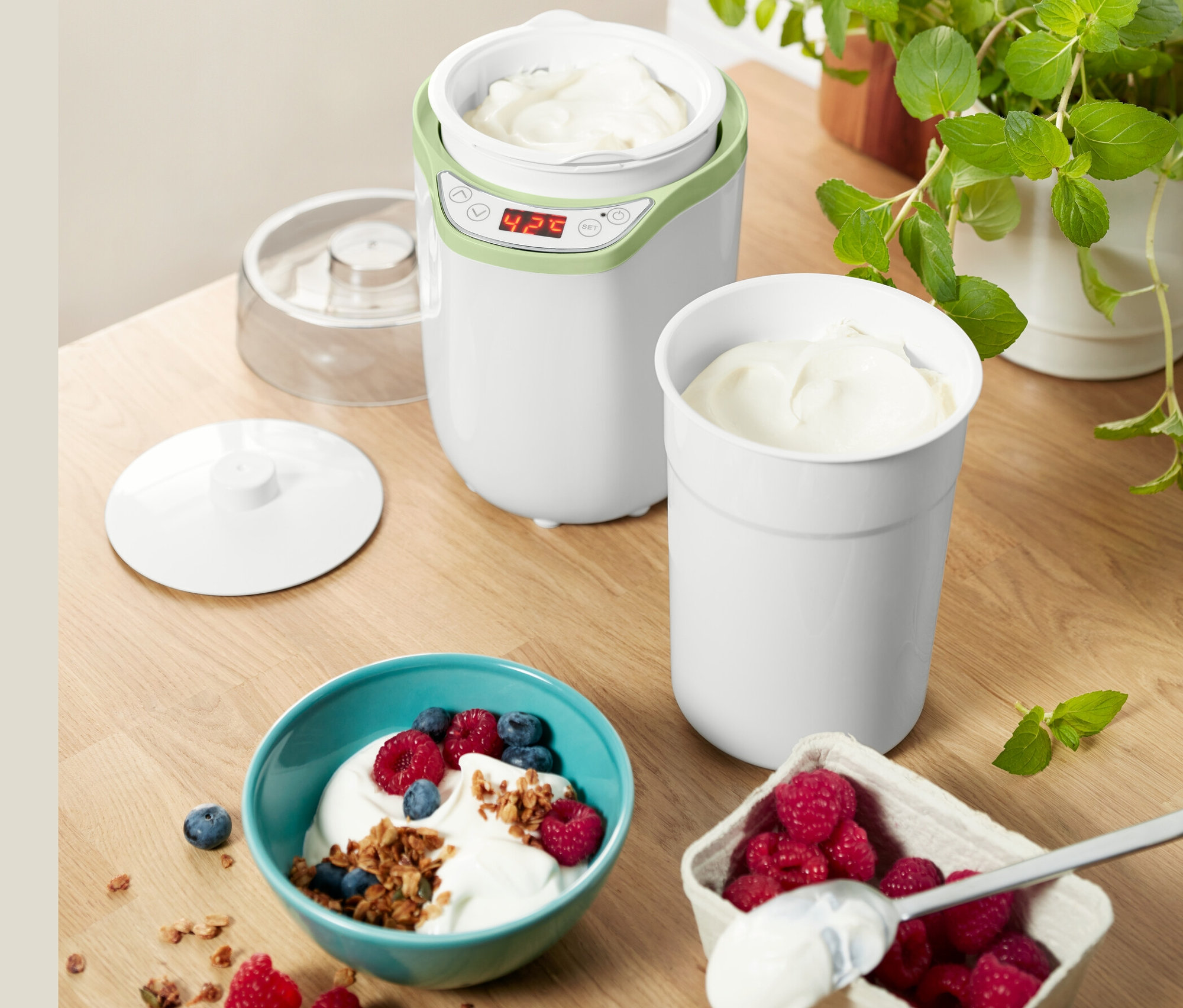 Joghurt-und-Frischkäse-Bereiter mit Joghurt in Schüssel mit Blaubeeren und Himbeeren.