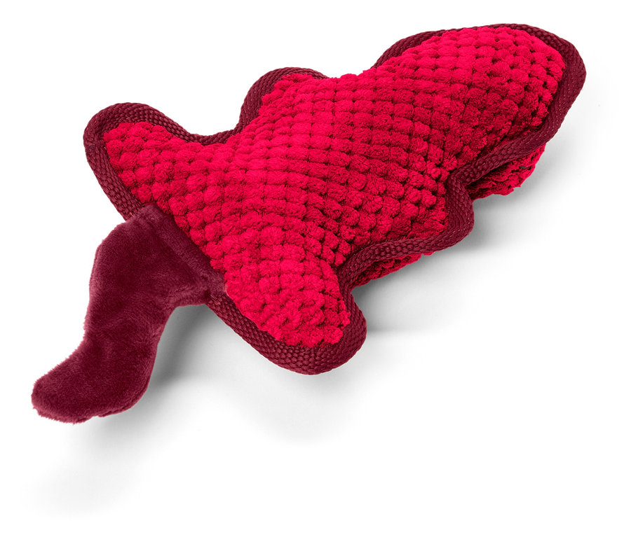 Ein rotes fischförmiges Hundespielzeug liegt auf einem weißen Hintergrund.
