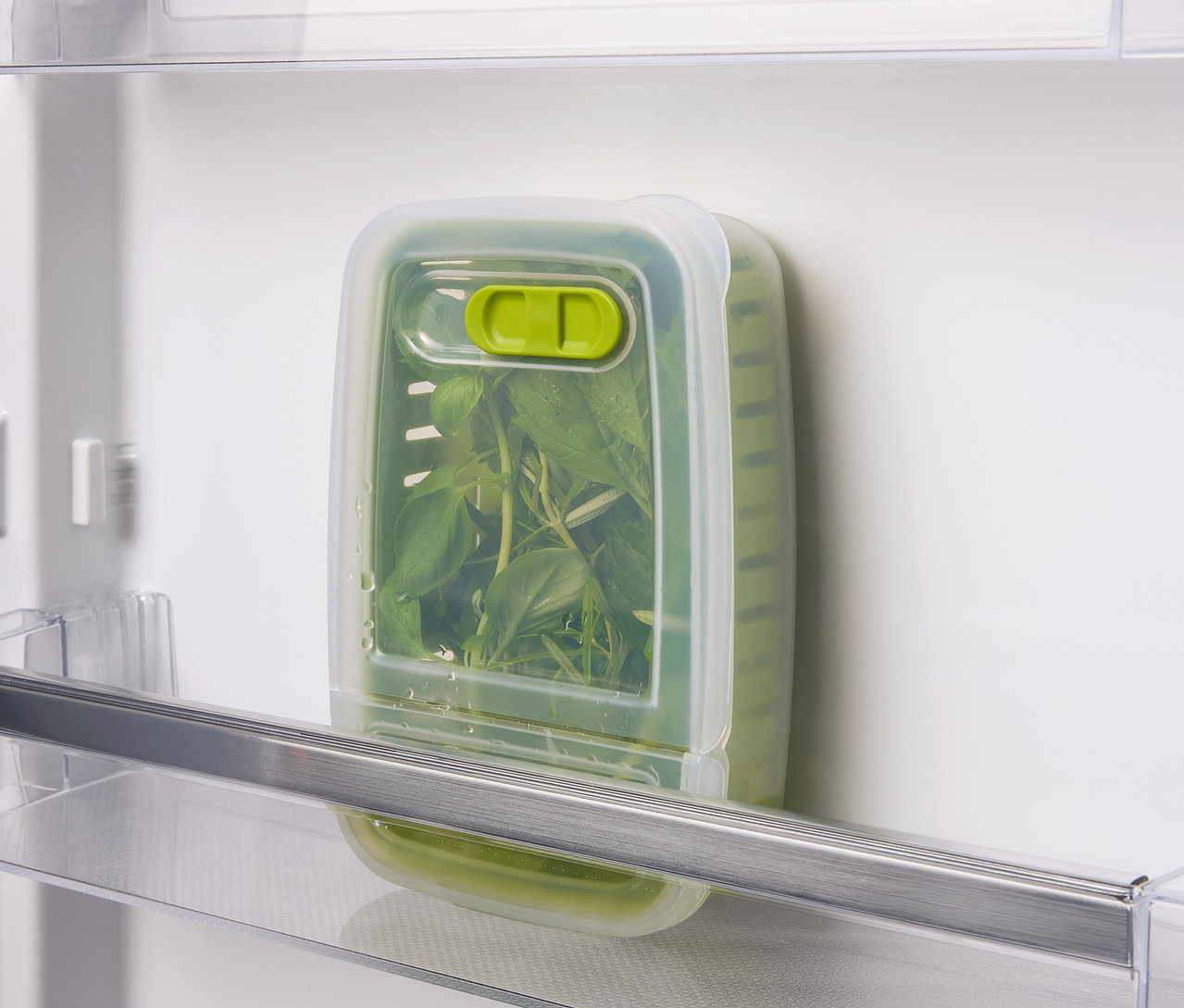 Grüne Kräuter in einem durchsichtigen Behälter mit Deckel im Kühlschrank.