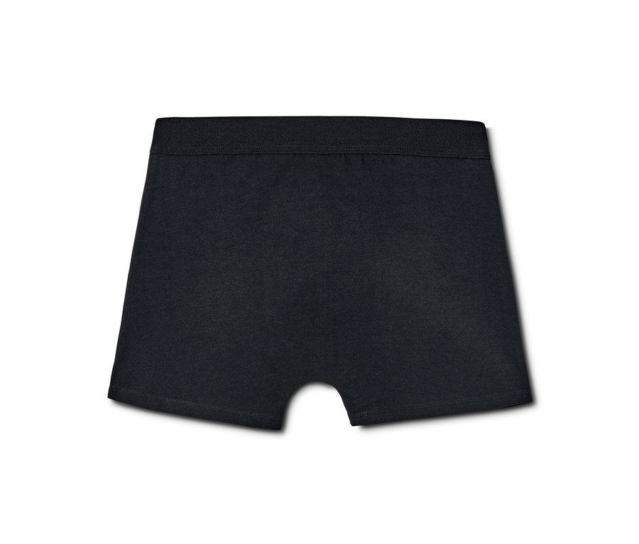 Detailaufnahme einer einzelnen schwarzen Slipboxer.