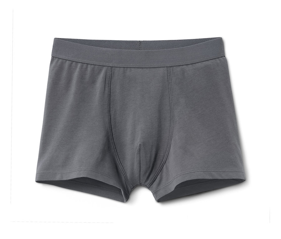Graue 7 Jungen-Slipboxer.