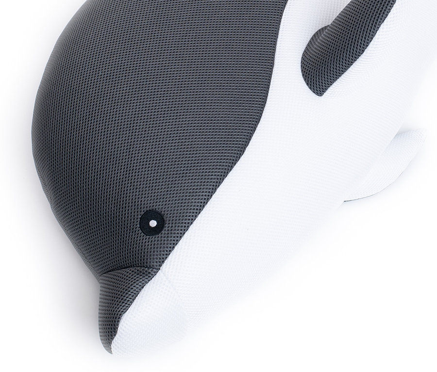 Detailansicht des Pool Buddy Delphin, eines grau-weißen Delfins mit einem schwarzen Auge, platziert auf einem weißen Hintergrund.