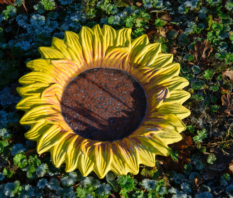 Gelbe Dobar Bunte Insektentränke »Fiore« in Sonnenblumenform liegt auf grüner Vegetation.