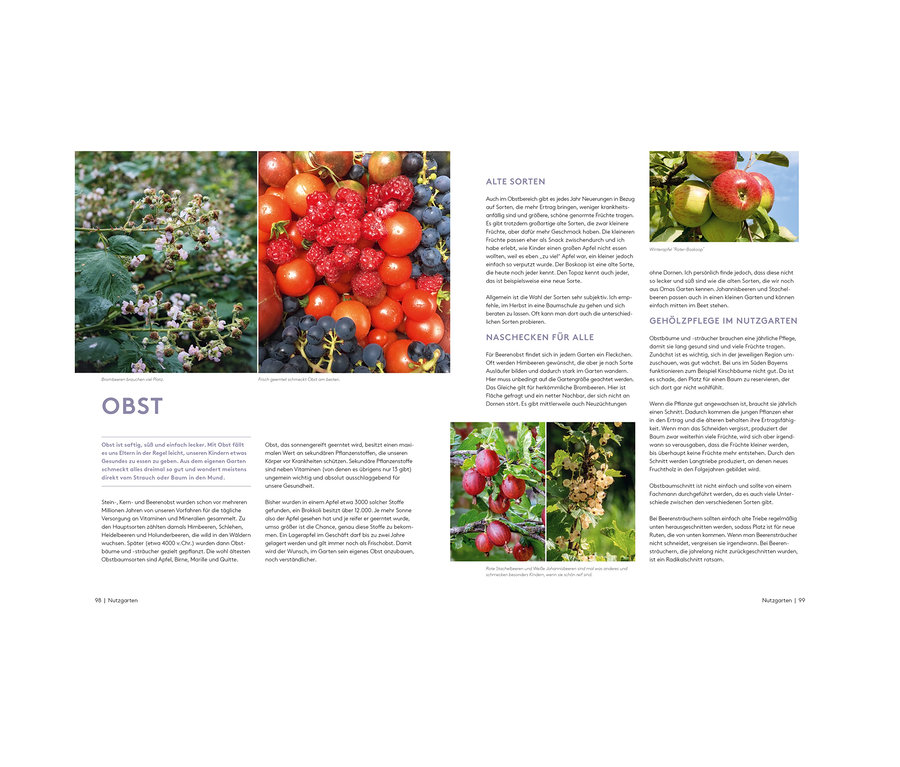 Obst wie Himbeeren, Tomaten, Äpfel und Pflaumen werden in einer ordentlichen Anordnung gezeigt. Das Buch »Der A bis Z Gartencoach« ist auch sichtbar.