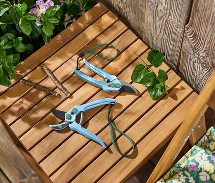 Zwei blaue Gartenscheren und Zweige liegen auf einem Holztisch.