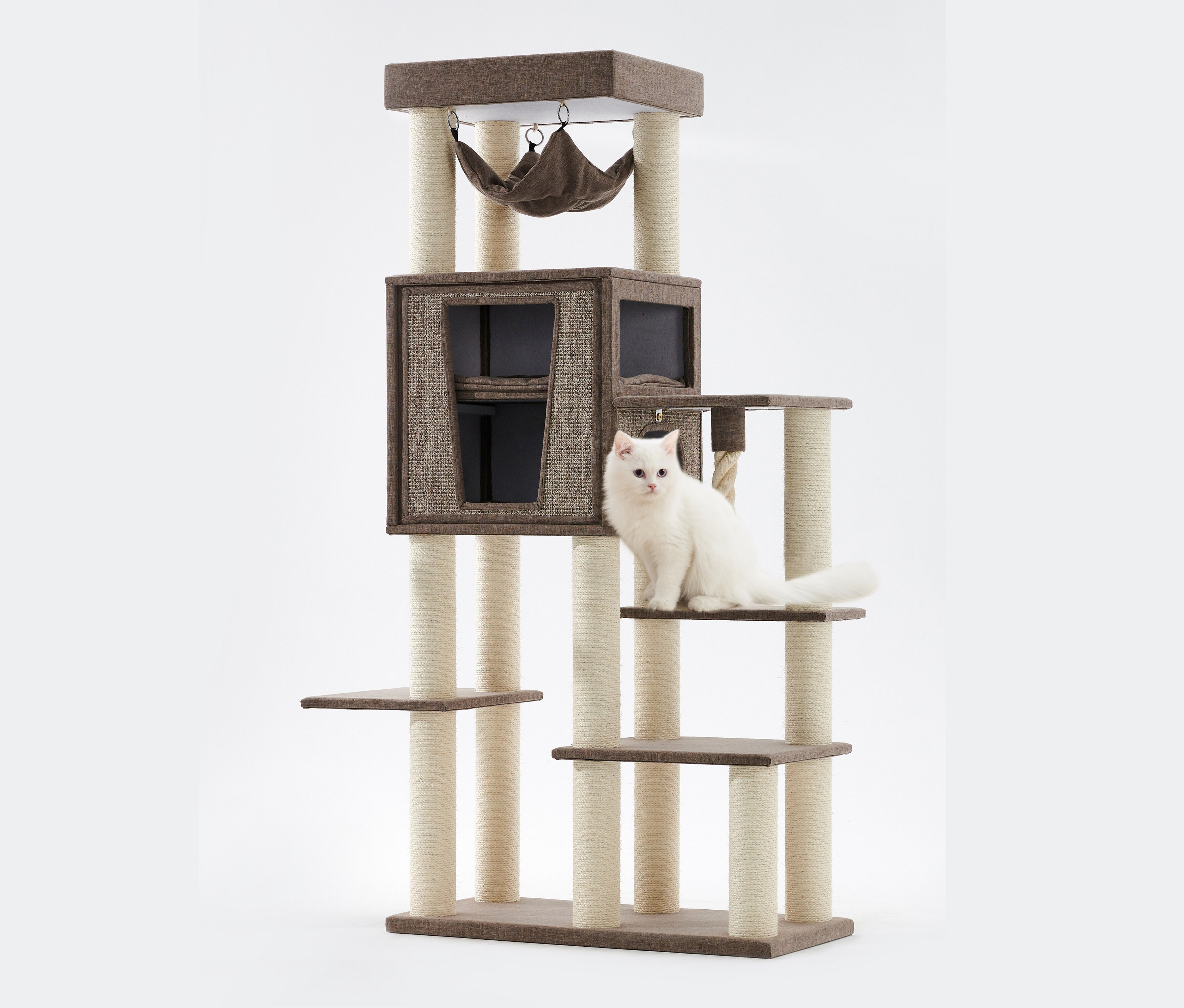 Weiße Katze sitzt auf braunem Kratzbaum "KASIL".