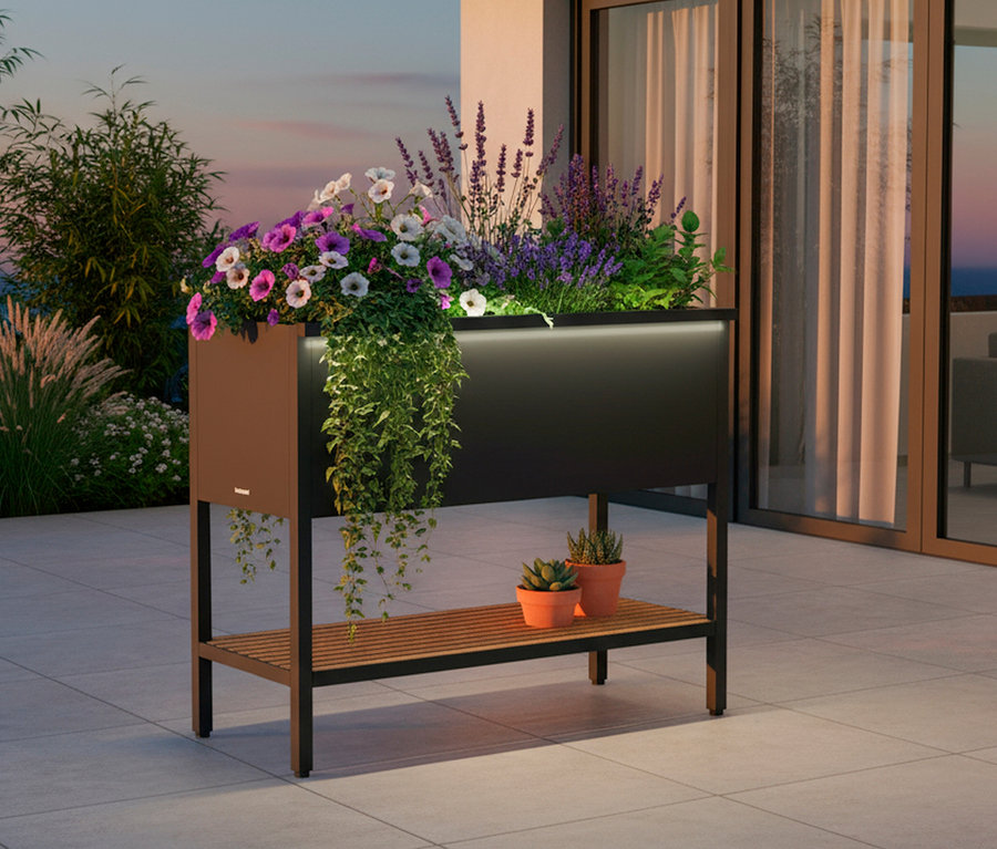 Blumenkasten mit lila und weißen Blumen, darunter zwei Tontöpfe mit Sukkulenten auf einem Regal.