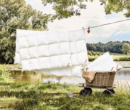 Eine Paradies Ganzjahres-Daunendecke »Hoheluft« in Normalgröße hängt draußen an einer Wäscheleine, während eine weitere Decke und Kissen in einem Korbwagen liegen.