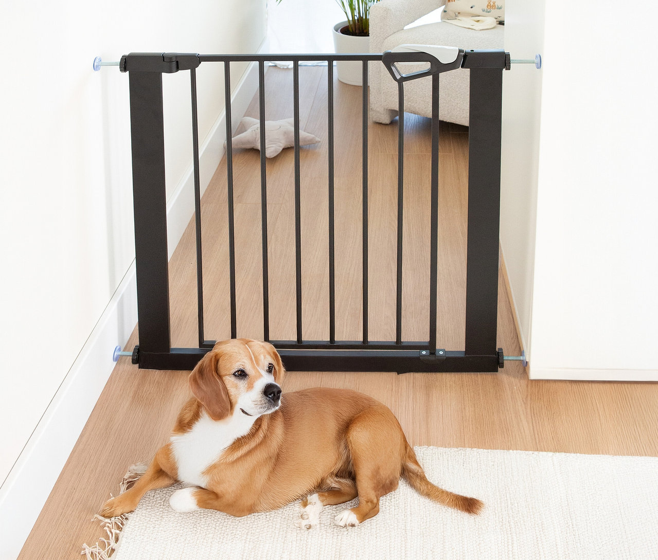 Schwarzes roba easySafe+ Tür- und Treppen-Schutzgitter mit 7-cm-Erweiterung in einem Durchgang, davor liegt ein braun-weißer Hund auf einem Teppich.