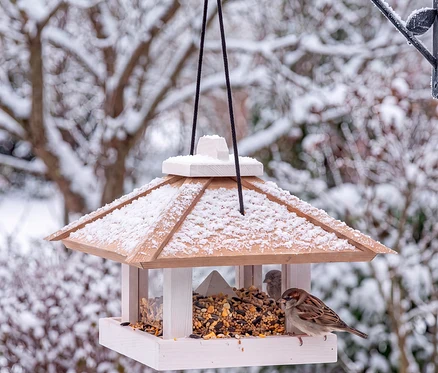 Ein hölzernes Vogelhaus, teilweise mit Schnee bedeckt, hängt in einer verschneiten Winterlandschaft. Zwei Spatzen sitzen im und am Futterhaus und fressen Vogelfutter.