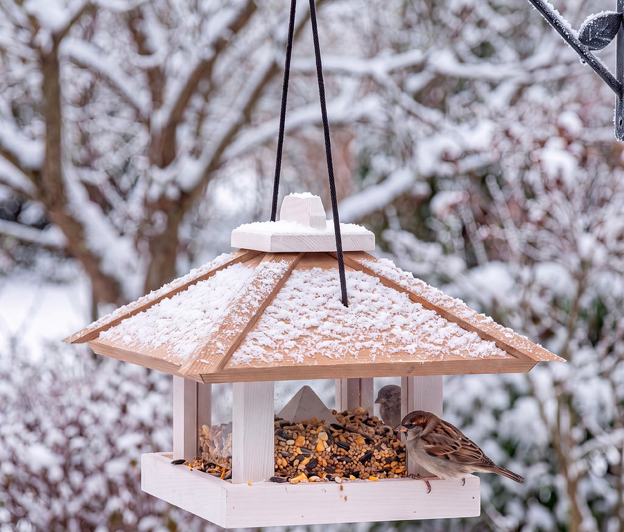 Ein hölzernes Vogelhaus, teilweise mit Schnee bedeckt, hängt in einer verschneiten Winterlandschaft. Zwei Spatzen sitzen im und am Futterhaus und fressen Vogelfutter.
