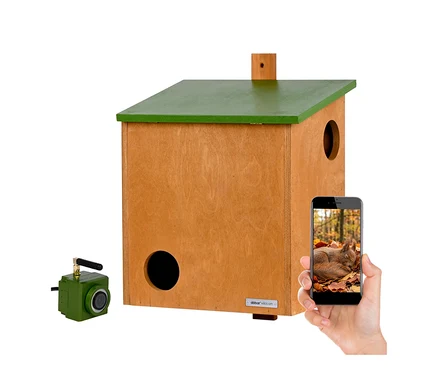 Hölzerner Nistkasten mit grünem Dach und zwei Öffnungen, eine grüne Kamera und eine Hand, die ein Smartphone mit einem schlafenden Eichhörnchen in Herbstlaub hält.