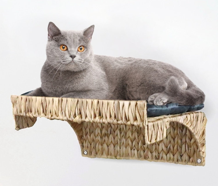 Eine graue Katze liegt auf einer braunen Kletteretage »Alido« aus Korbweide mit einem blauen Kissen.