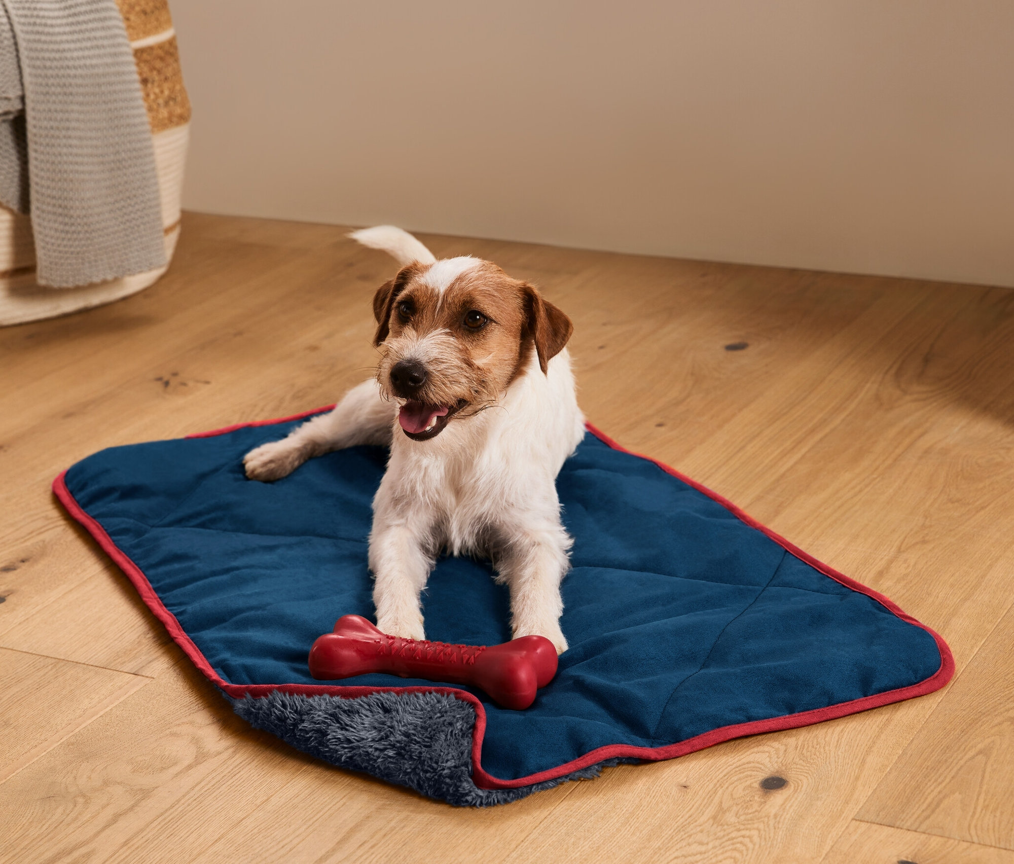Jack Russell Terrier liegt auf der Hunde-Kuscheldecke mit einem roten Knochen.