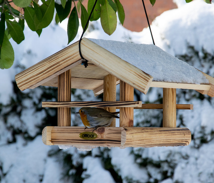 Ein Rotkehlchen sitzt in dem mit Schnee bedeckten Vogelfutterhaus »Quemado«.