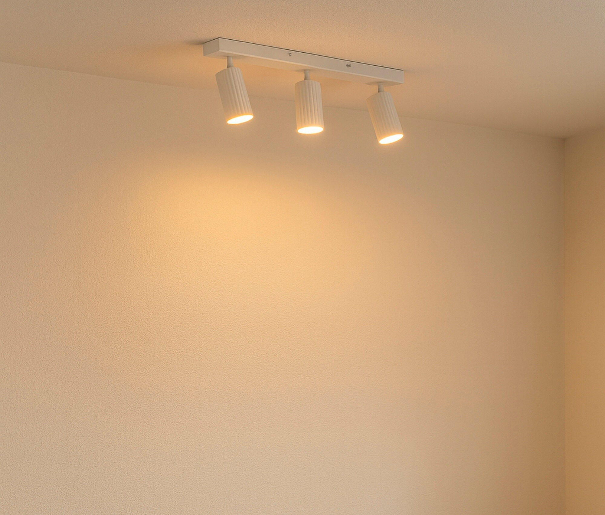 Ein beiges Sofa steht neben einem Holztisch, auf dem eine kleine Pflanze in einem Tontopf steht.