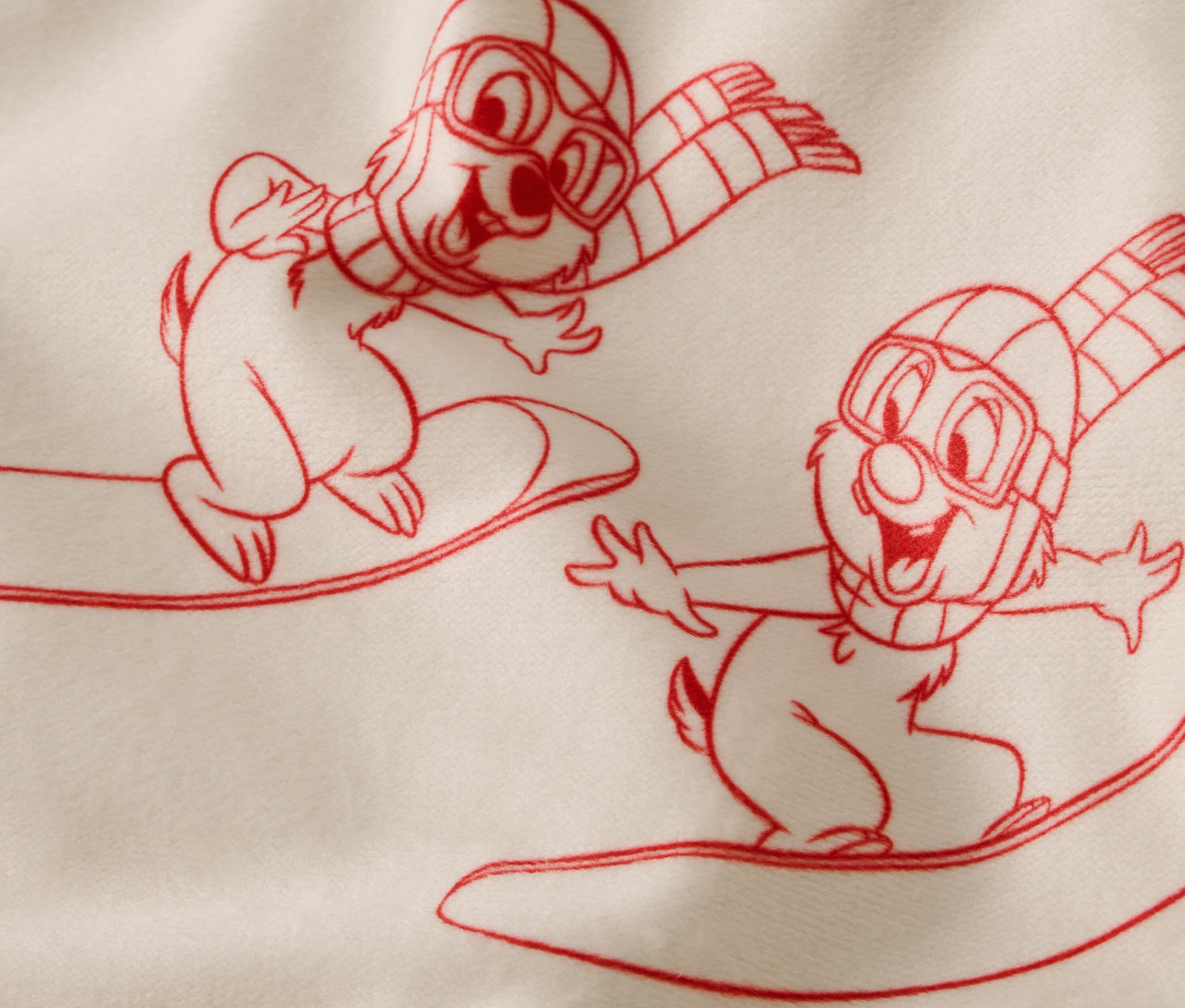 Eine Cartoon-Illustration von zwei Eichhörnchen auf Snowboards mit Skibrillen und Schals.