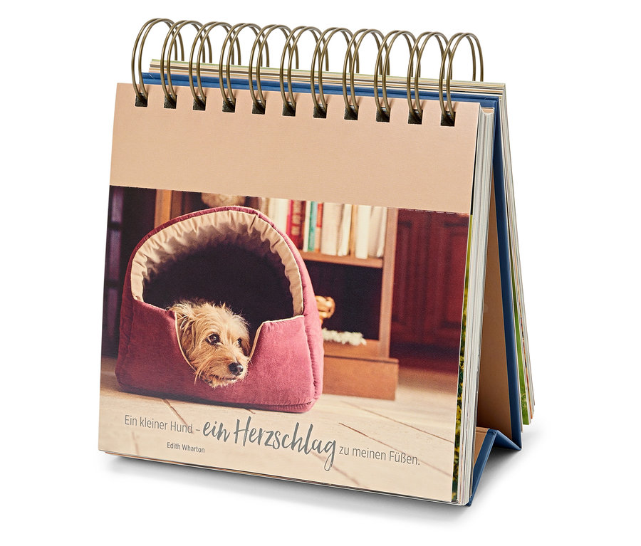 Tischkalender mit einem Foto von einem Hund in einem Hundebett.