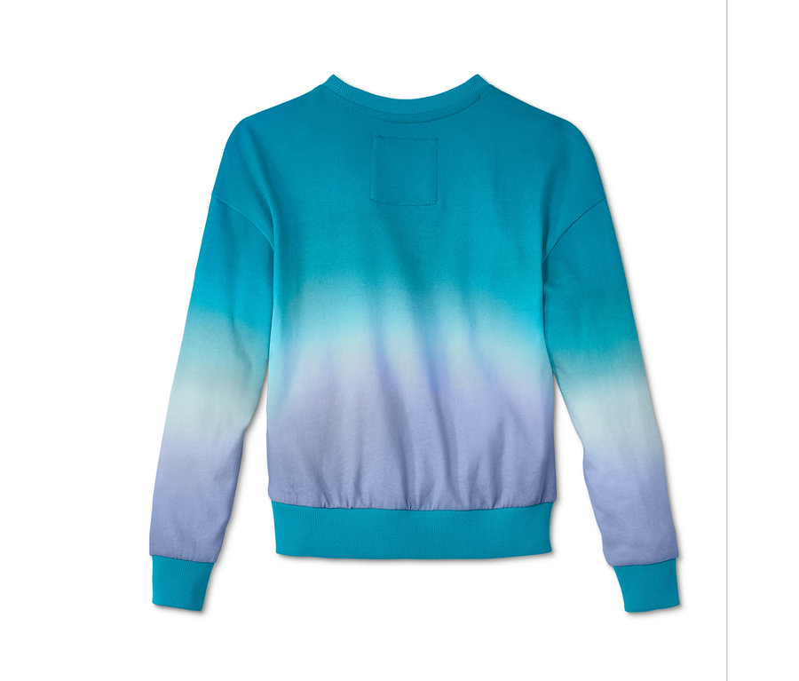 Detailansicht der Rückseite eines Sweatshirts mit Ombré-Muster.