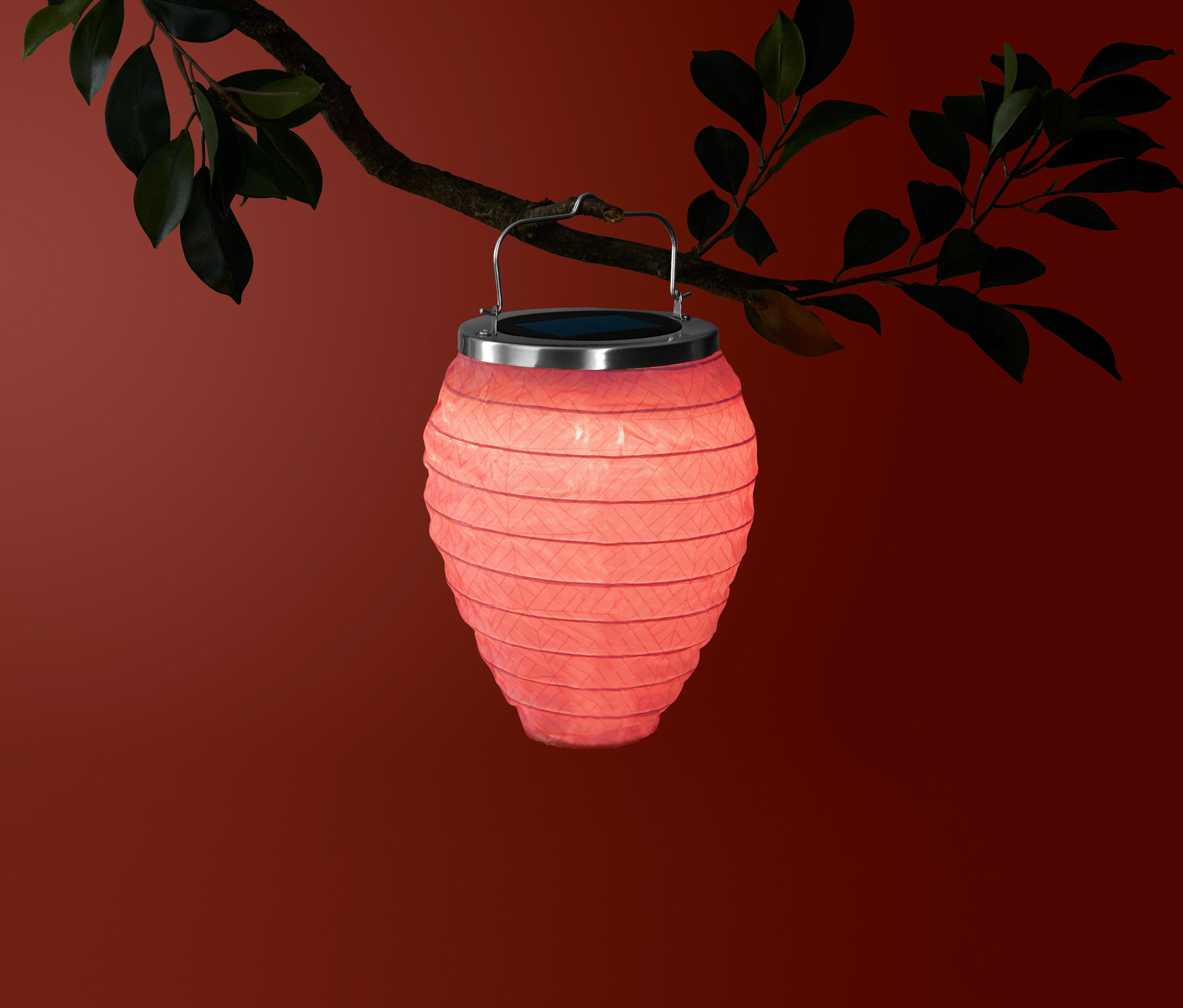 Ein kleiner Solar-Lampion hängt an einem Ast.