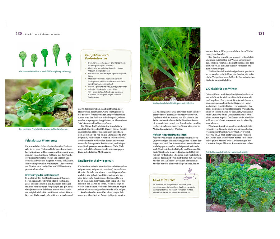 Auf einer Buchseite sind verschiedene Gemüsesorten abgebildet, darunter Feldsalat, Fenchel und Grünkohl. Abgebildet ist auch das Buch: »Das große Ulmer Biogartenbuch«.