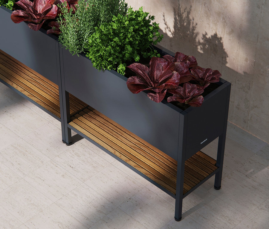 Hochformatige Nahaufnahme eines grauen Hochbeets mit zwei Ebenen, bepflanzt mit Salat und Kräutern.