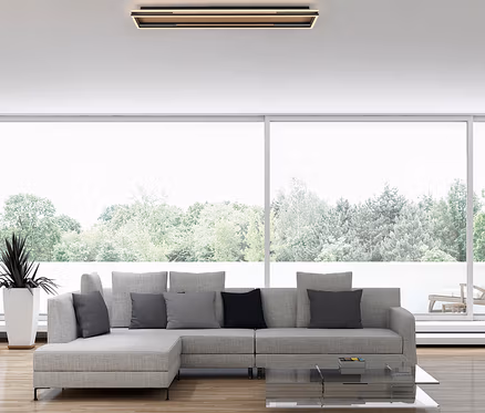 Modernes Wohnzimmer mit hellgrauem L-förmigem Sofa, einem Glastisch und einer hohen Pflanze. Eine rechteckige Deckenleuchte erhellt den Raum mit großen Fenstern und Waldblick.