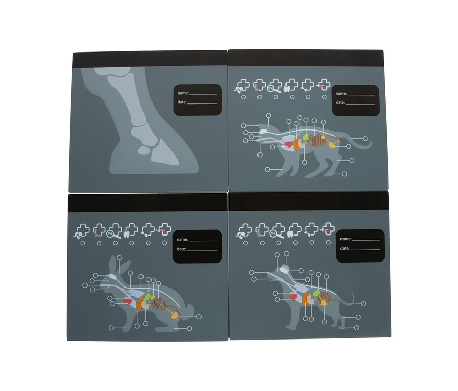 Vier graue rechteckige Tafeln des small foot Tierarzt-Sets "Hund". Oben links ist ein Röntgenbild eines Pferdehufs, oben rechts und unten rechts sind anatomische Darstellungen der inneren Organe eines Hundes, und unten links ist ein Kaninchen abgebildet. Jede Tafel hat Felder für "Name:" und "Datum:".