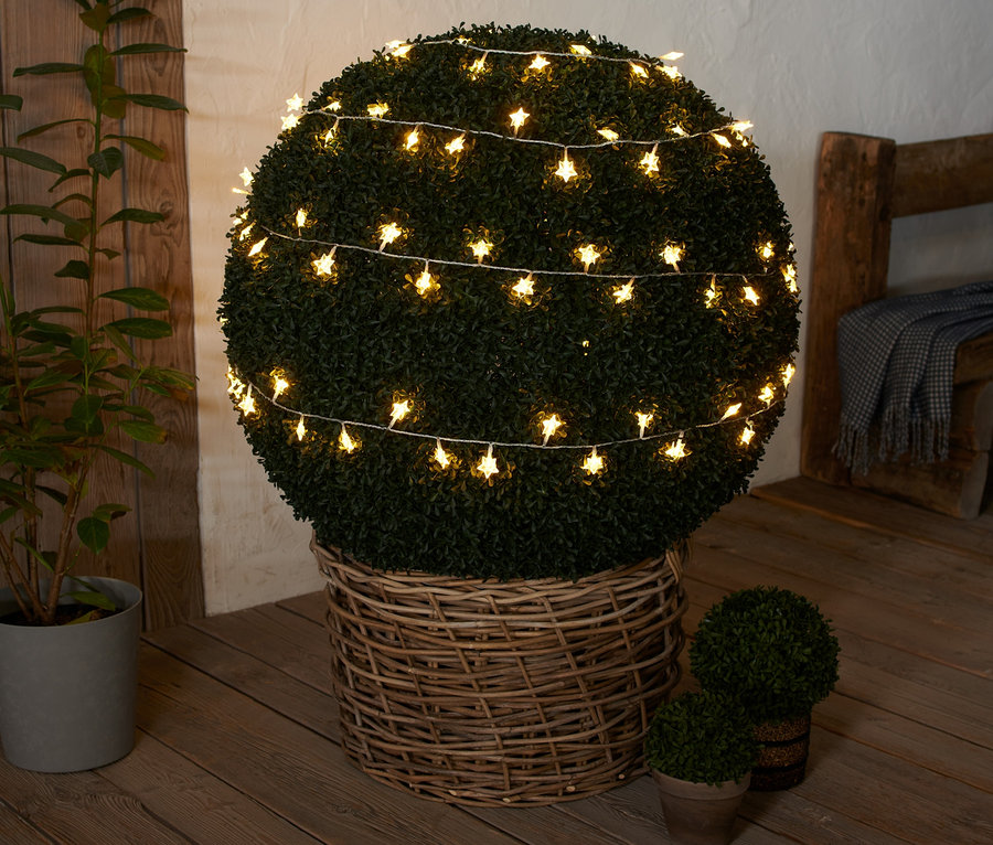 Ein grüner Busch in einem Weidenkorb, umwickelt mit einer LED-Outdoor-Lichterkette mit Sternen.