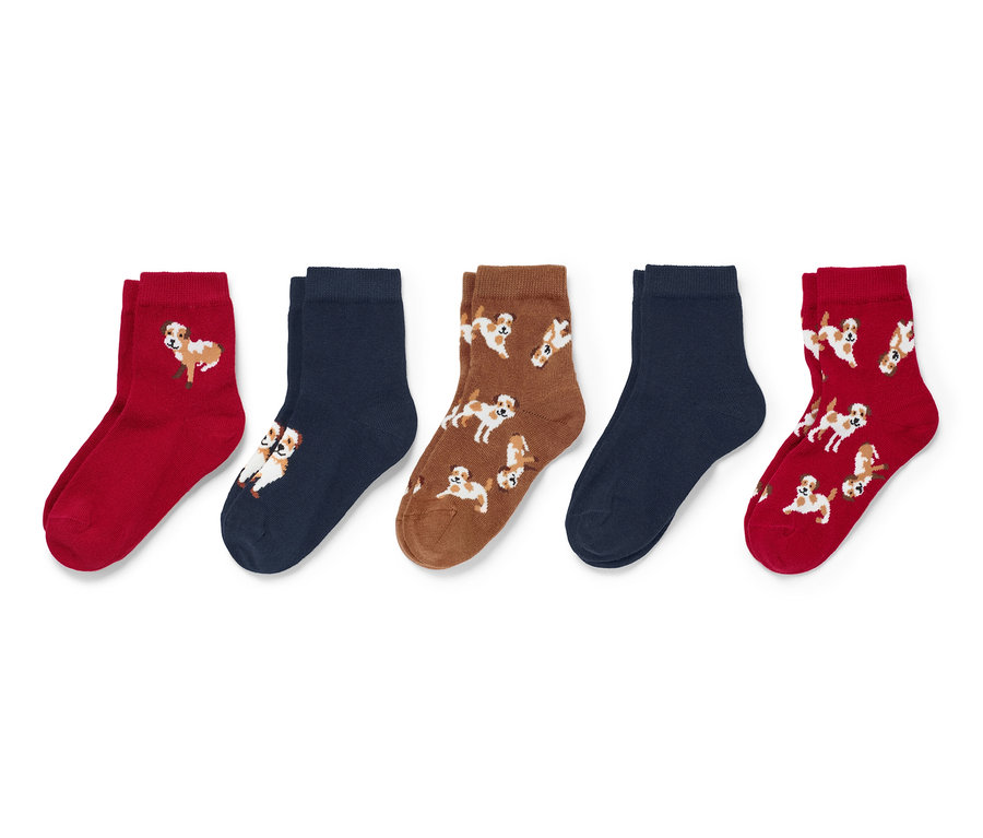 Fünf Paar Kleinkind-Socken mit Hundemotiven in Rot, Dunkelblau und Braun.