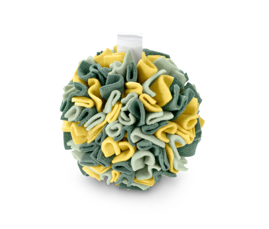 Ein Tier-Schnüffelball in Grün und Gelb.