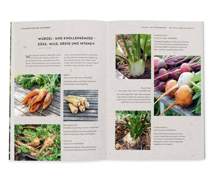 Aufgeschlagenes Buch mit einer Seite über Wurzel- und Knollengemüse, einschließlich Karotten, Pastinaken, Wurzelpetersilie, Knollensellerie, bunte Bete und Knollenfenchel.