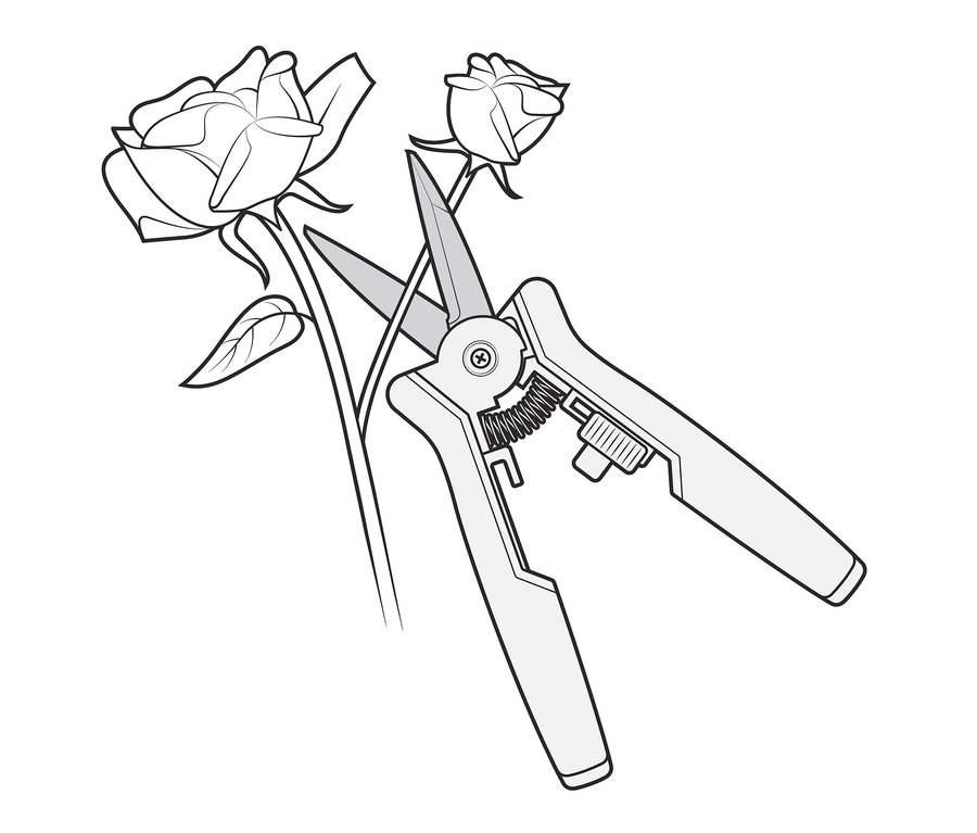 Illustration eines Mini-Pflegescheren-Sets, das einen Rosenstiel schneidet.