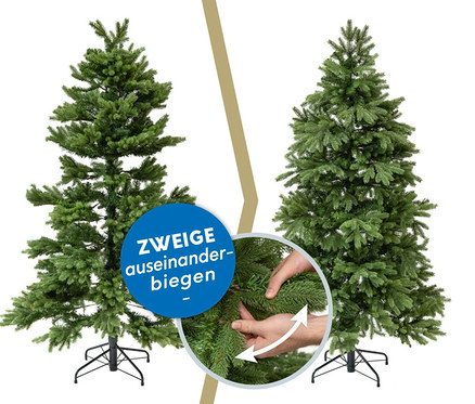 Zwei künstliche Weihnachtsbäume Roswell Kiefer unterschiedlicher Größe auf weißem Hintergrund.