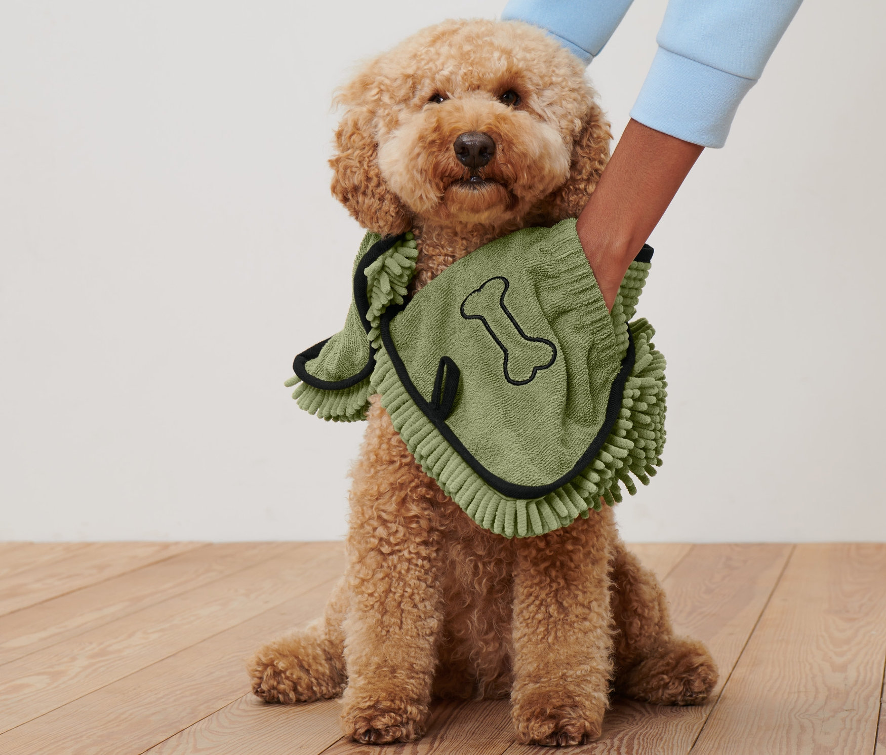 Ein brauner Pudel sitzt auf einem Holzboden und trägt ein grünes Hundehandtuch mit Eingriffen.