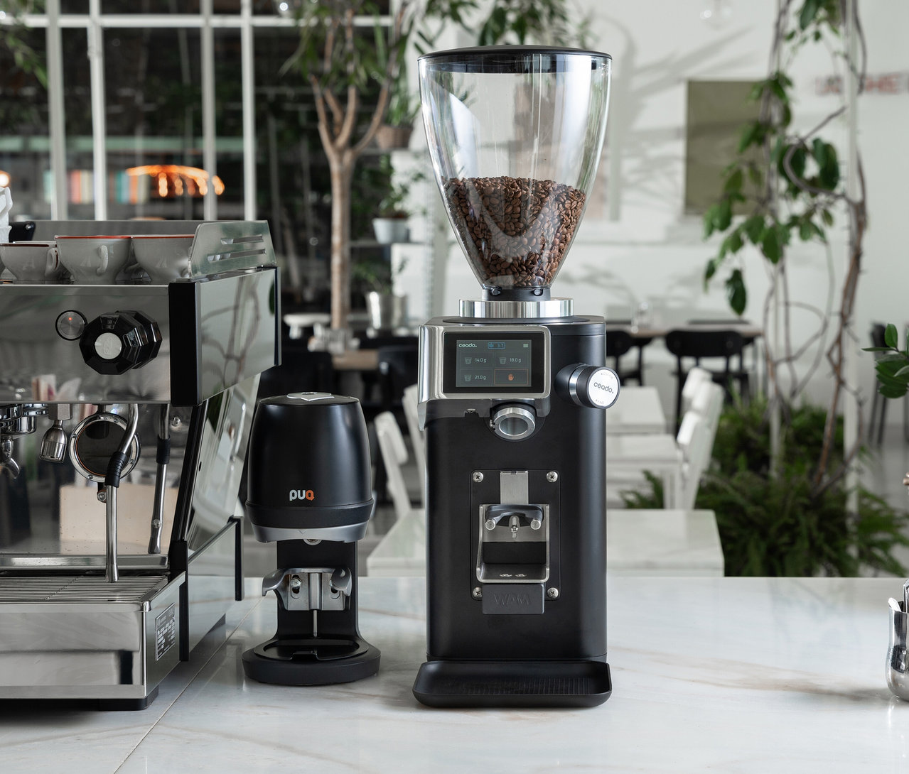 Aufnahme einer Kaffeemaschine, eines Kaffeemühlenstampfers und einer Kaffeemühle auf einer Küchentheke.