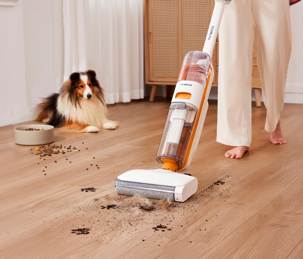 Eine Person reinigt mit dem Tineco 2-in-1-Nass-Trockensauger »Y2 Plus« einen Holzboden von Schmutz, Pfotenabdrücken und Tierhaaren. Ein Hund liegt im Hintergrund.