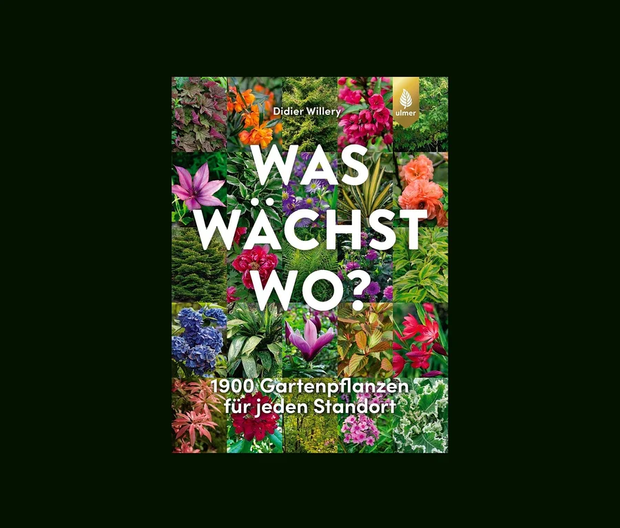 Collage verschiedener Pflanzen mit dem Text "WAS WÄCHST WO?" mit dem Buch »Was wächst wo?«