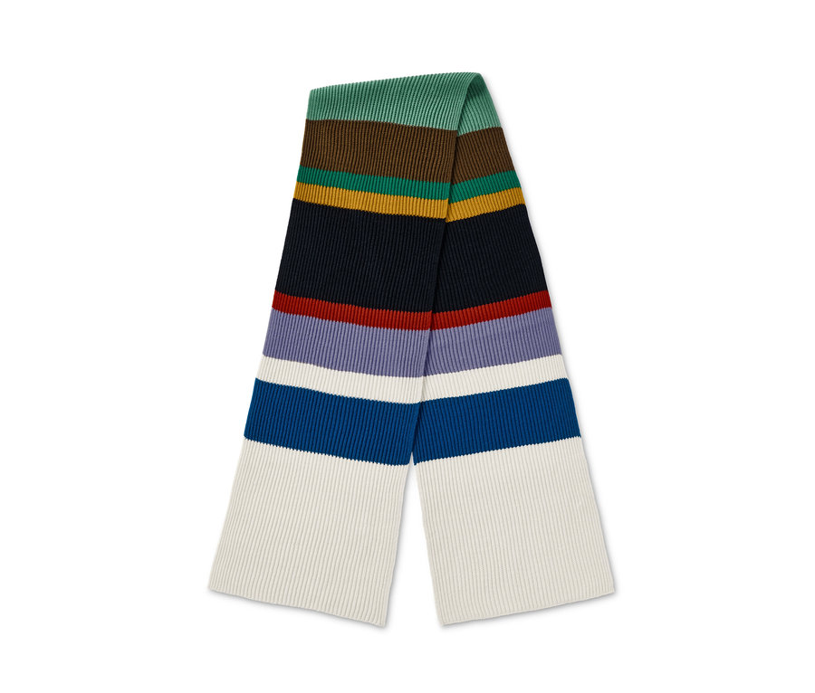 Ein gestreifter Strickschal mit bunten horizontalen Streifen.