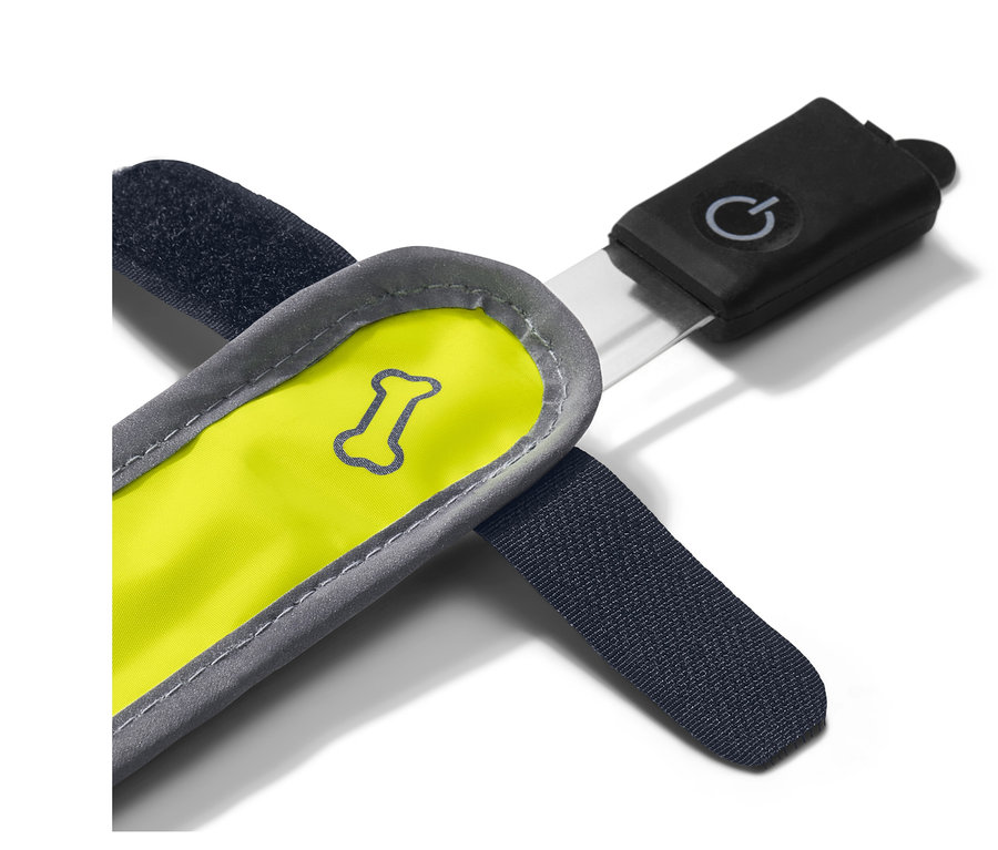 Nahaufnahme eines gelben Hunde-LED-Leuchtbands mit grauer Umrandung und schwarzem Batteriegehäuse.
