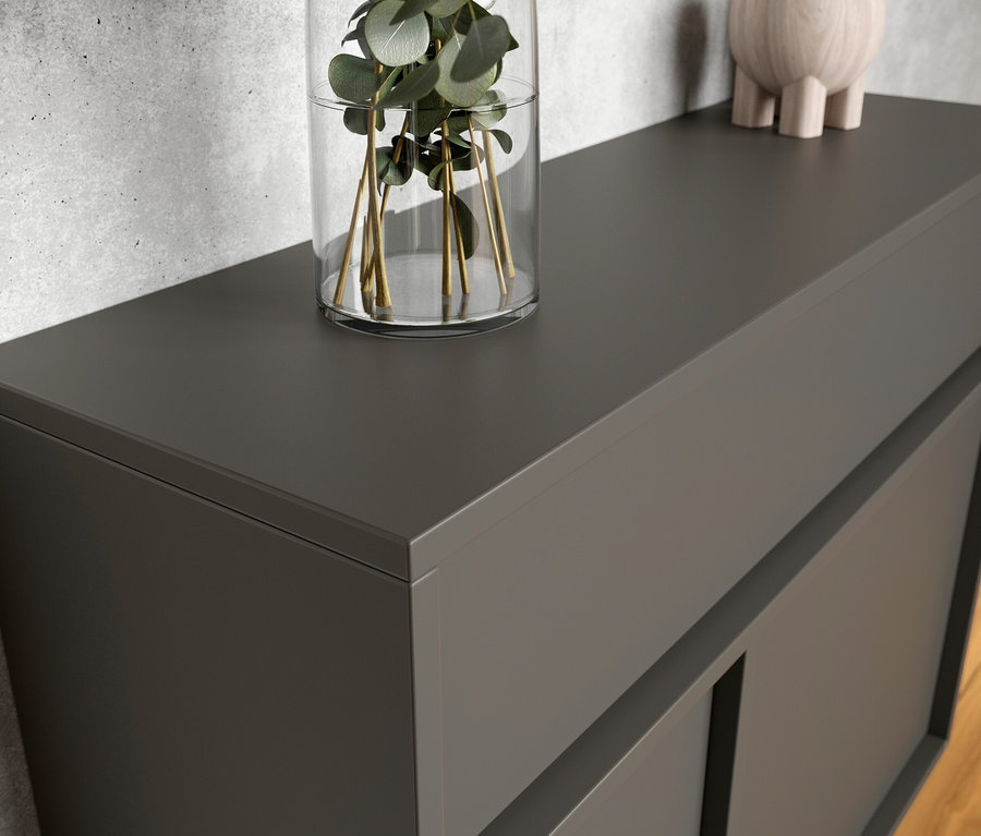 Nahaufnahme eines Ameca Mehrzweckschranks mit 2 Türen und einer Schublade, auf dem eine Vase mit Pflanzen und eine Holzdekoration stehen.