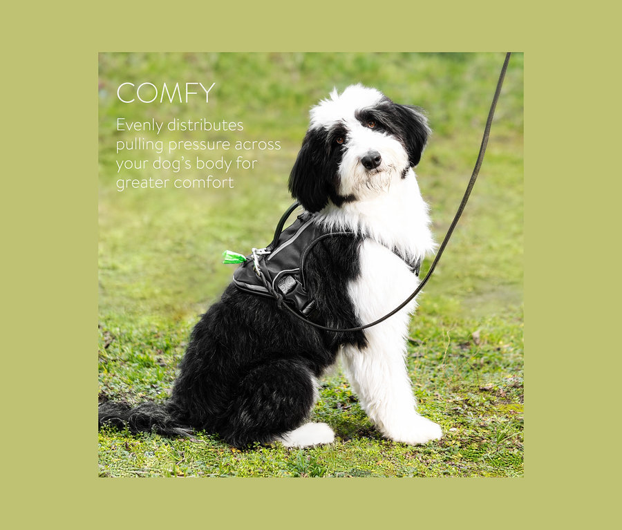 Ein schwarzweißer Hund sitzt im Gras und trägt ein Navaris Hundegeschirr, groß.