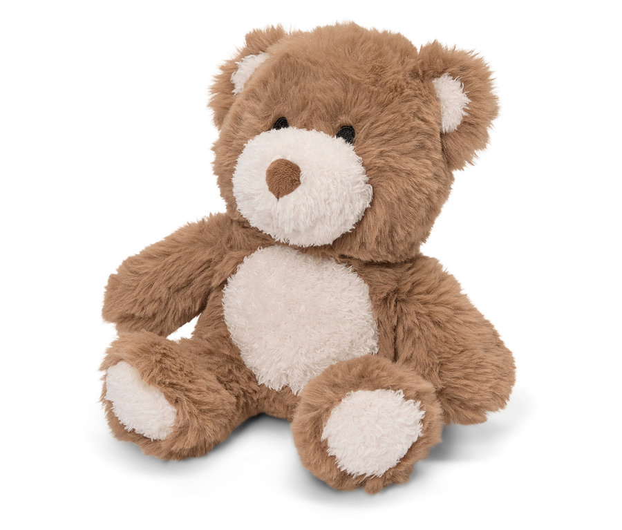 Ein brauner Teddybär sitzt auf einem weißen Hintergrund.