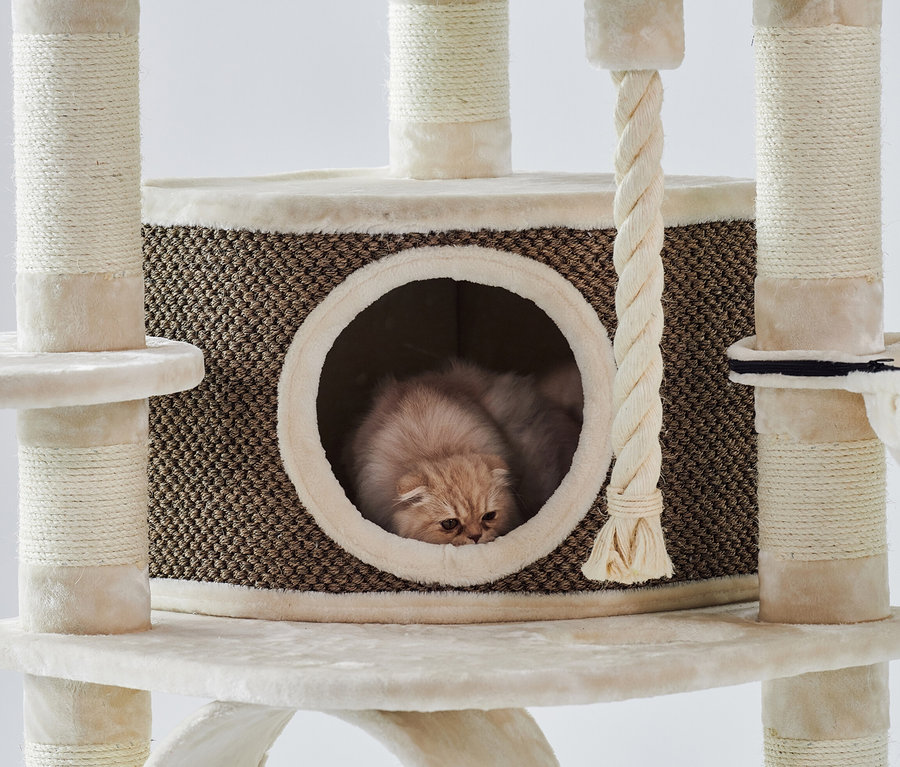 Katze liegt im braunen Haus des Kratzbaums »ELIF«.